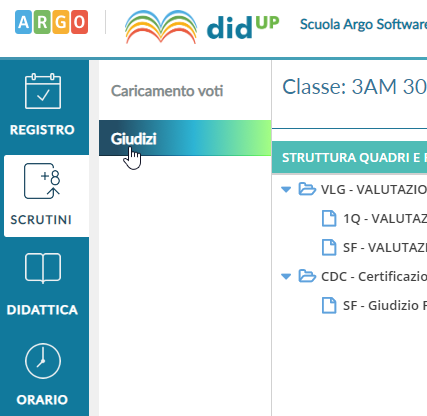 Gestione Giudizi